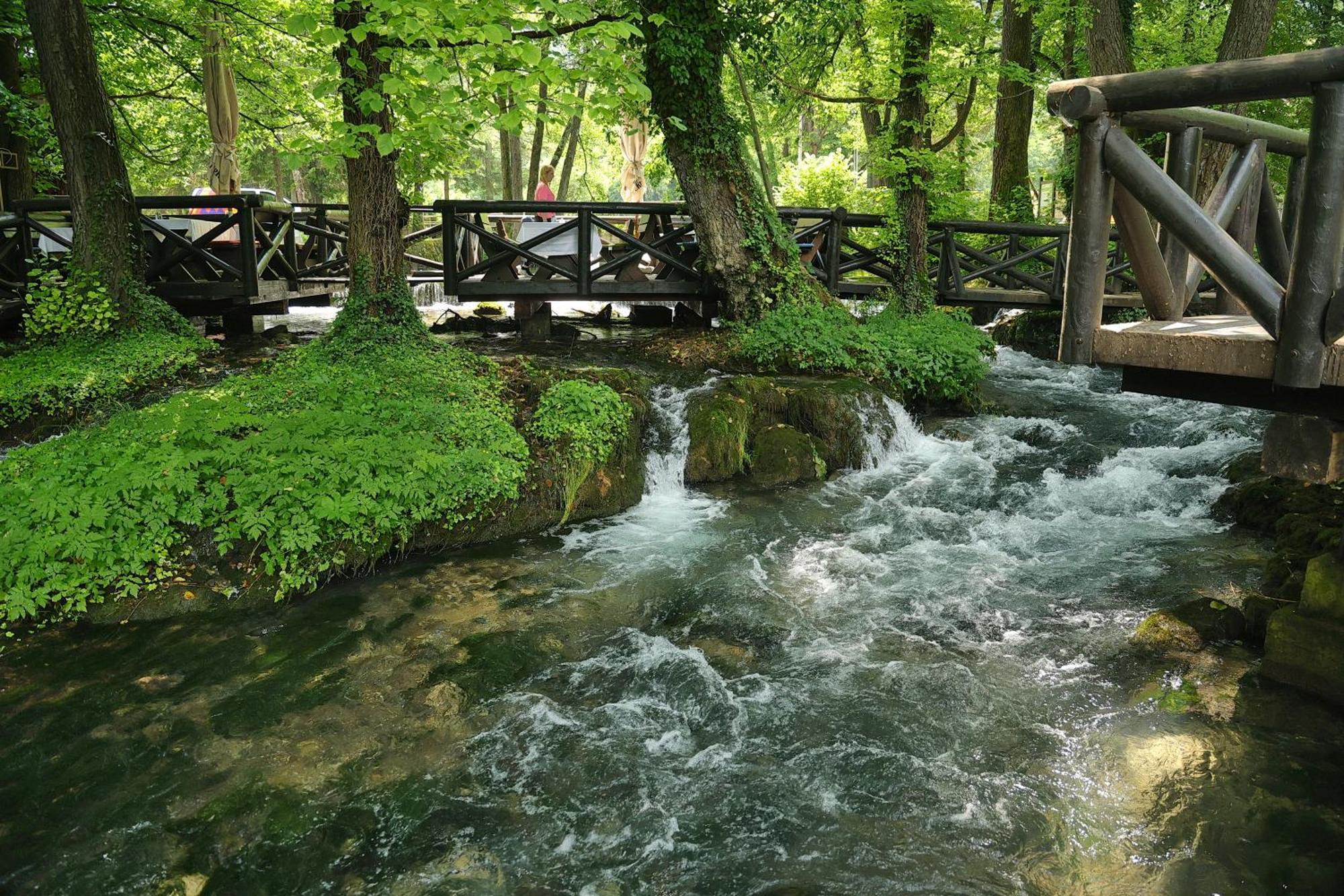 Garni Hotel Vila Drina Perucac Extérieur photo