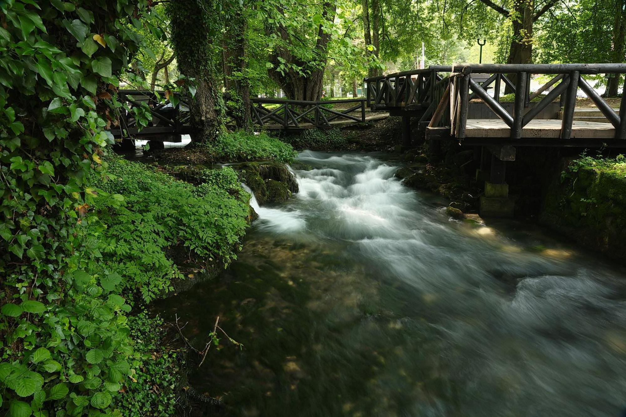 Garni Hotel Vila Drina Perucac Extérieur photo