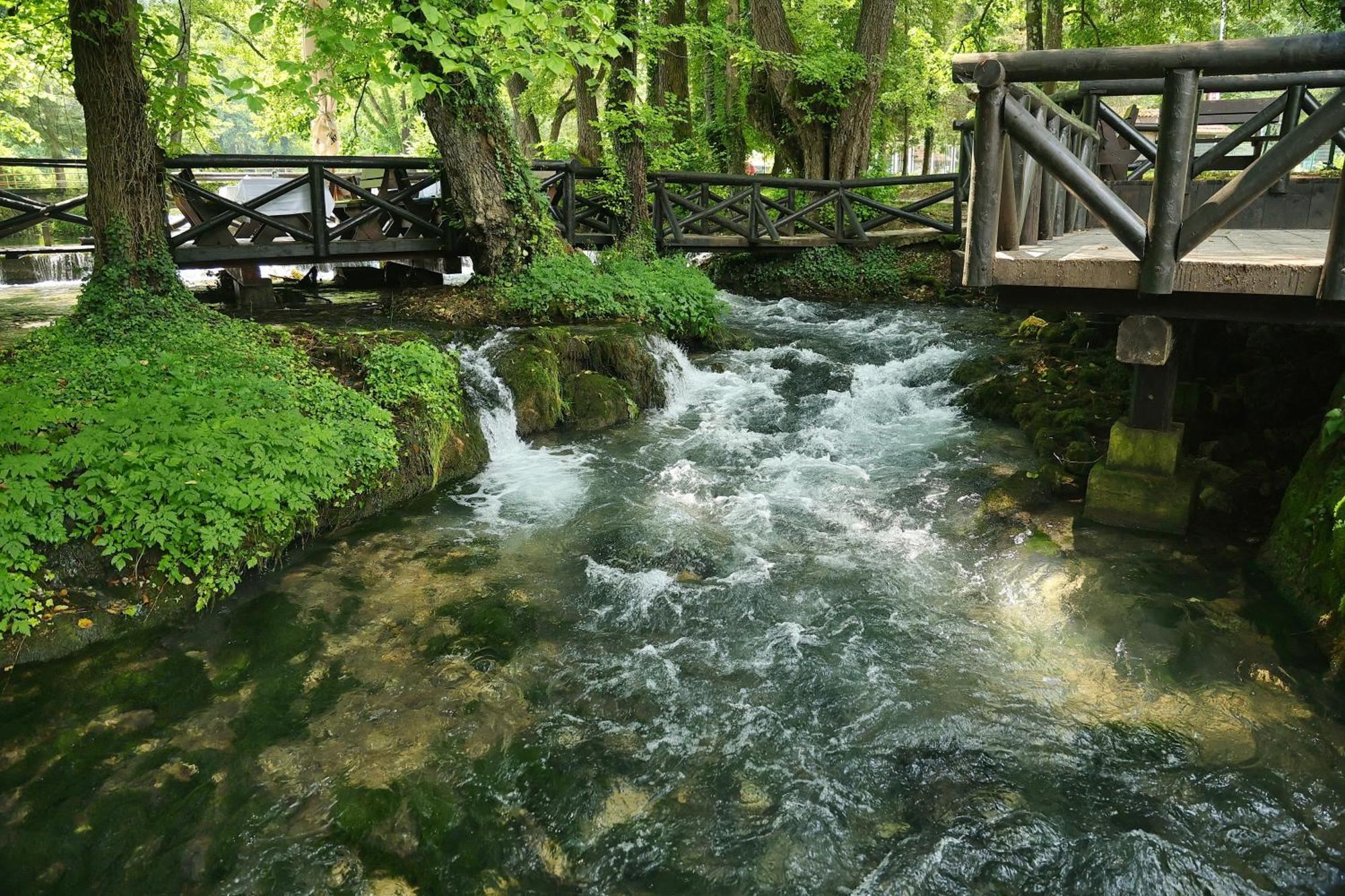 Garni Hotel Vila Drina Perucac Extérieur photo
