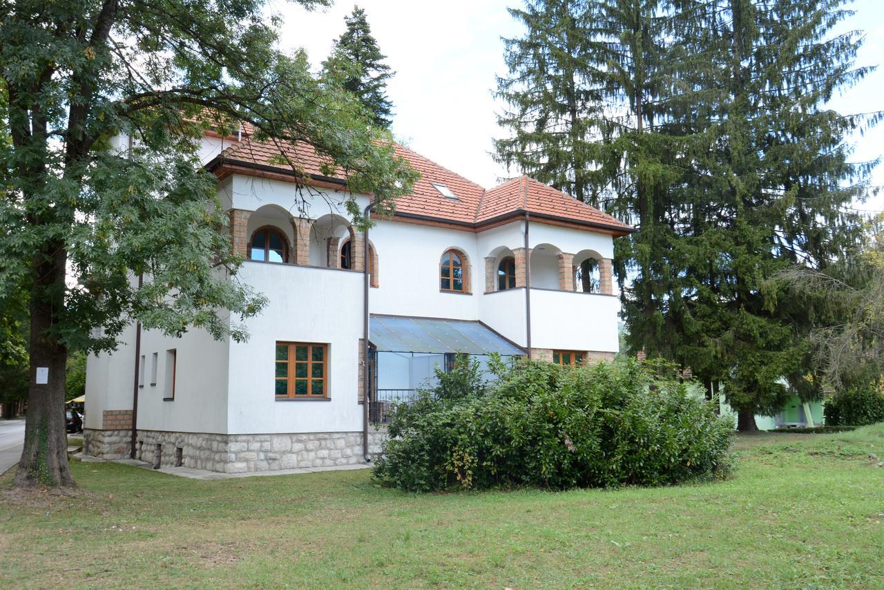 Garni Hotel Vila Drina Perucac Extérieur photo