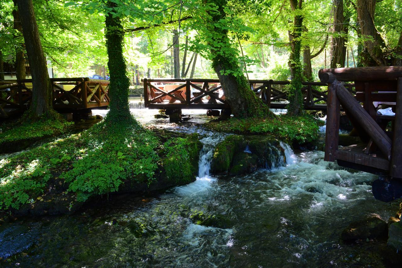 Garni Hotel Vila Drina Perucac Extérieur photo