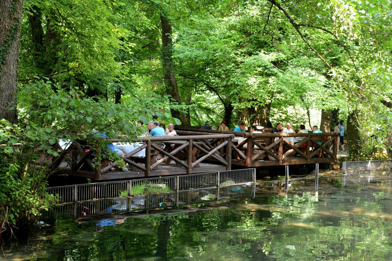 Garni Hotel Vila Drina Perucac Extérieur photo