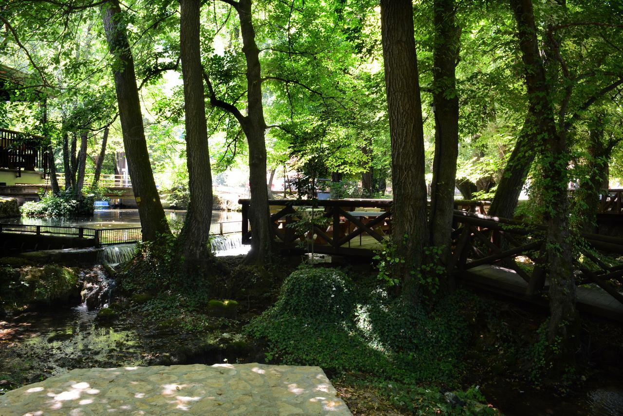 Garni Hotel Vila Drina Perucac Extérieur photo