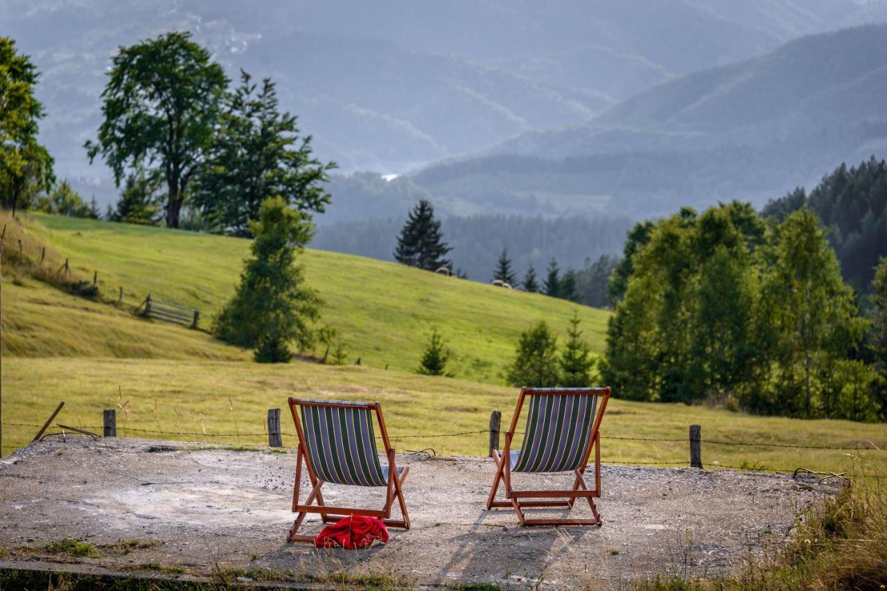 Garni Hotel Vila Drina Perucac Extérieur photo