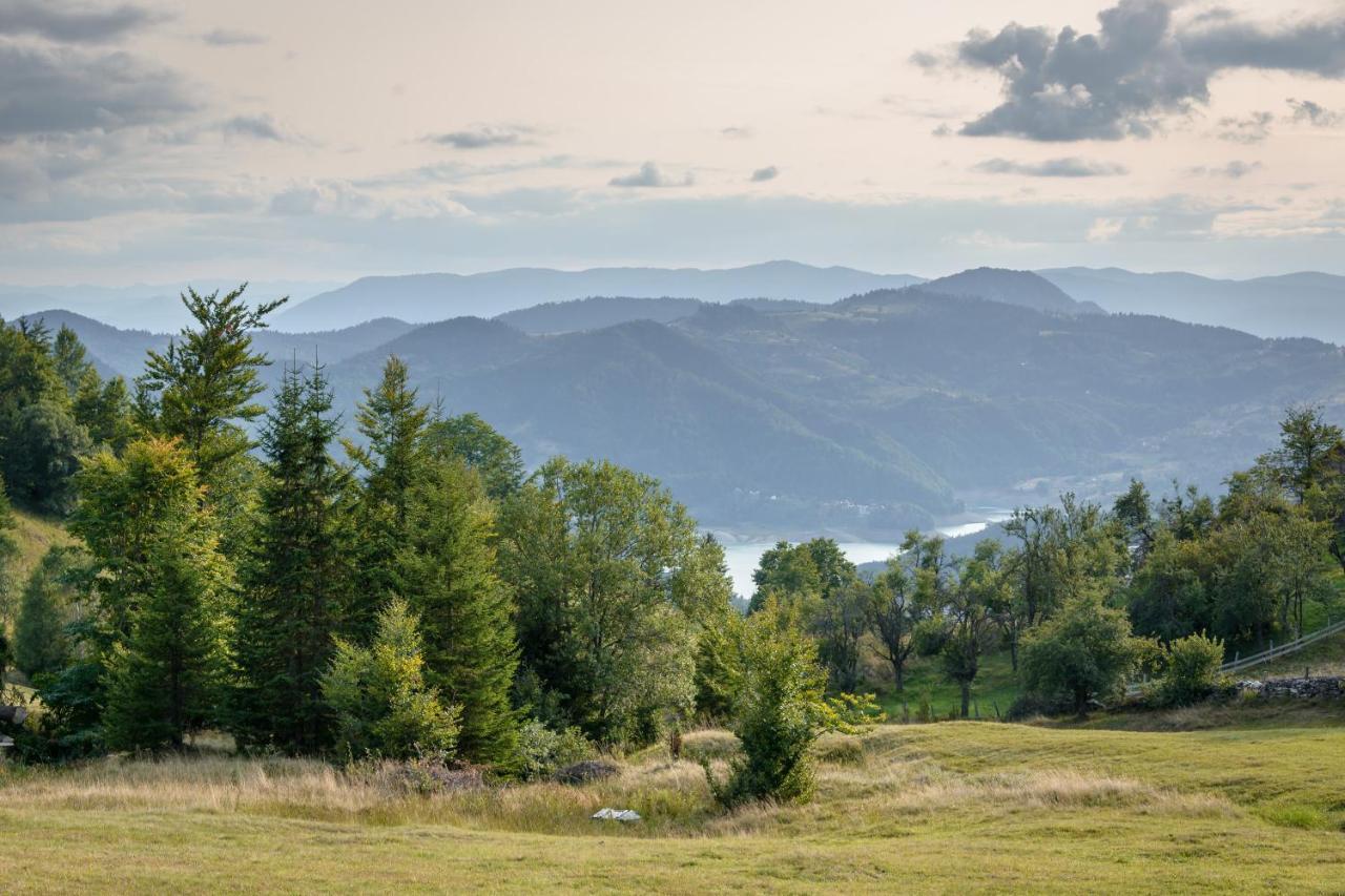 Garni Hotel Vila Drina Perucac Extérieur photo